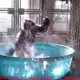 Hot Tub Twitch Is Popping Off Right Now